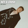 Not a Crush - Simi