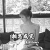 爱 (咚鼓版) - 安瑾