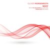 Why - Oliver Morgenroth