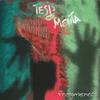 Fragmentos - Tesis de Menta