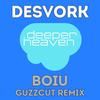 BOIU (Guzzcut Remix) - Desvork