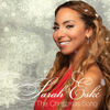 The Christmas Song - Sarah Eské