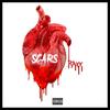 Scars - Raxx