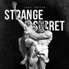 Strange Secret (Original Mix) - Jake Traser