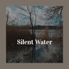 Silent Water - Nitzan Sagie