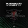 Enredando (Original Mix) - David Perezgrueso