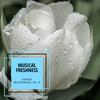 Cosmic Dhayan (Original Mix) - Maha Rudransh