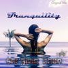 Tranquility (Original Mix) - Serginio Chan