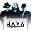 Hava - Steve Aoki&Timmy Trumpet&Dr Phunk