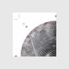 Quantum Decay - PRG/M