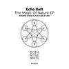 The Magic of Nature (Fabri Lopez Remix) - Echo Daft&Fabri Lopez