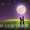 昨天的情今夜的梦 (cover: 月下思故人|燕宝儿) - 追梦&花语