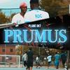 Prumus - Plame Okt