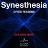 Synesthesia (Original Mix) - Dries Tessens