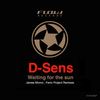 Waiting for the Sun (Fenix Project Remix) - D-sens