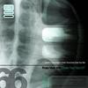 Beast Inside - Fran Von Vie