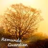 Guardian - Remundo