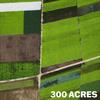 300 ACRES - T'swan