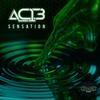Sensation - AC13