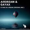 Flying in a Dream - Gayax&Airdream