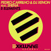 5 Elements (DJ Mause Remix) - Pedro Carrilho&DJ Xenon&Shena