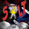 Dropping Salt(feat. Boont Daddy) (Explicit) - Alleyboidip&Boont Daddy