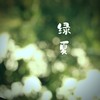 绿夏 - 全璟璟