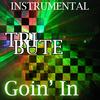 Goin' In (Jennifer Lopez Feat Flo Rida Instrumental Tribute) - The Dream Team