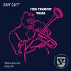 Itza Trumpet Thing (Original Mix) - Boy Lost