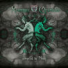 Trippy Trees (Original Mix) - XOLOTL