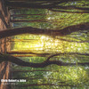 We Are Dreamers - Chris Robert&Jolee