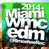 Chasing Sunsets(feat. Matthew Steeper) (Audiokidz Remix) - Dynaro&Matthew Steeper&Audiokidz
