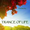 Intro (Original Mix) - Syn Drome