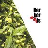Bump To Minimal (Original Mix) - Ben Murphy