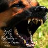 Outsize (Original Mix) - Cristian Zapata