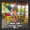 Sugar Cane (Finalidade Remix) - Luna Nixx&MC Kevin o Chris