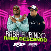 Raba Subindo, Raba Descendo(Mandelão) - MC RD&DJ Philipe Sestrem