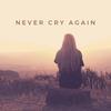 Never Cry Again (Amurai's Yerevan Mix) - Dash Berlin&Amurai
