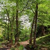 Jungle - Note