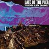 Space And The Woods - Late of the Pier
