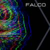 Falco (Remix) - Rigoflow&Daze