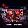 Atrevida(feat. Diomedes Chinaski)(Brega Funk) (Explicit) - Mc Babu