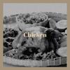 Theme from Dr Kildare - Richard Chamberlaine