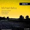 Turmfalke - Michael Ballus