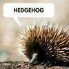 Apache Code - HerosBlack