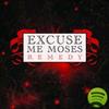 Remedy - Excuse Me Moses