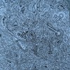Blue Loop - Blue Fever