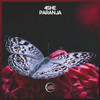 Paranja - 4SHE