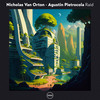 Raid (Figueras Remix) - Nicholas Van Orton&Agustin Pietrocola&Figueras
