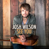 It Is Well (Instrumental) - Josh Wilson